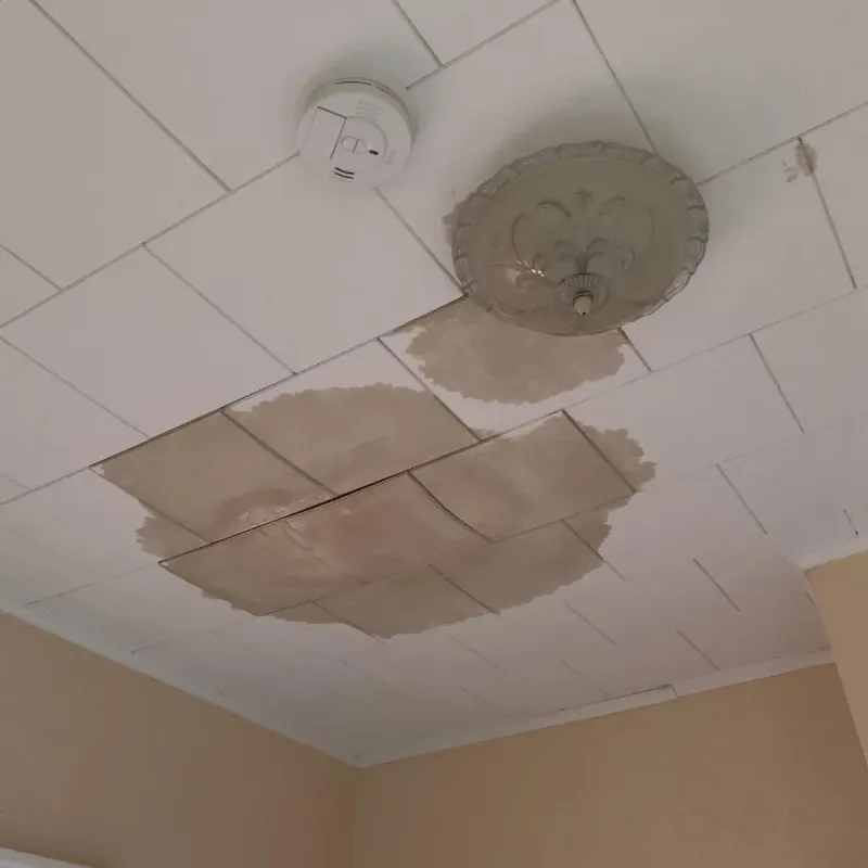 Ceiling Water Damage Repair in Oak Bluffs, MA