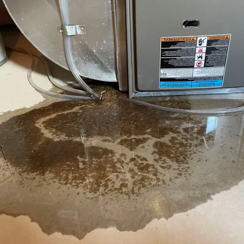 Pipe Burst and Leak Restoration in Oak Bluffs, MA