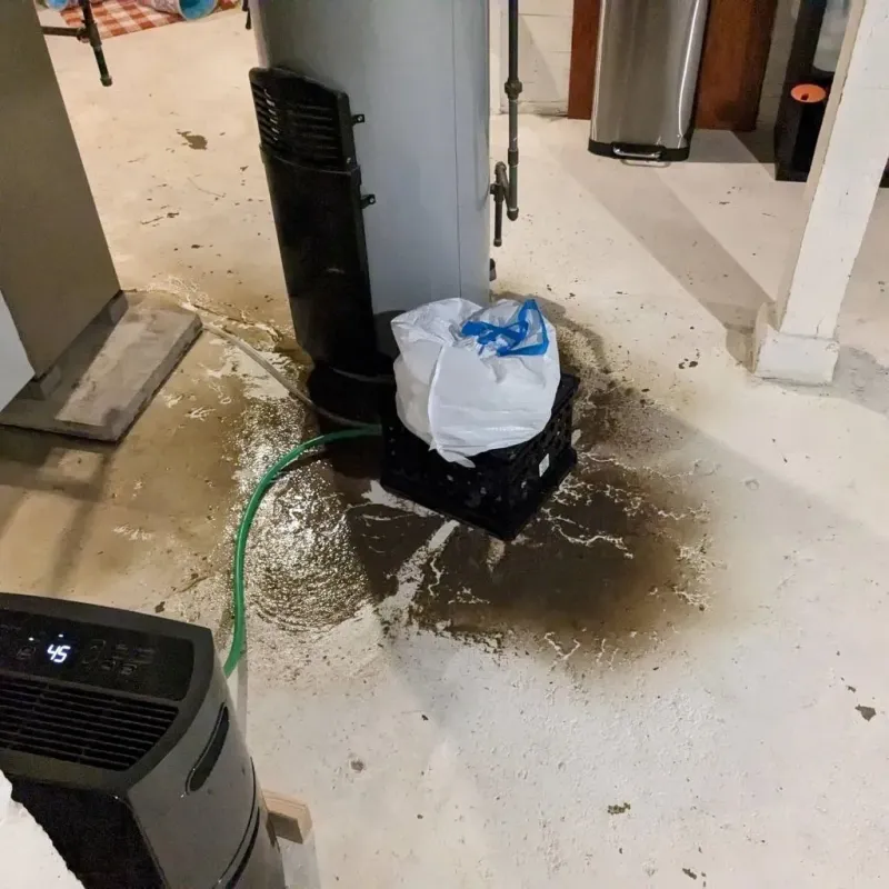 Sewage Backup Cleanup Service in Oak Bluffs, MA